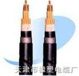 RVZ與RVZ電力電纜 規格、特點與應用全解析